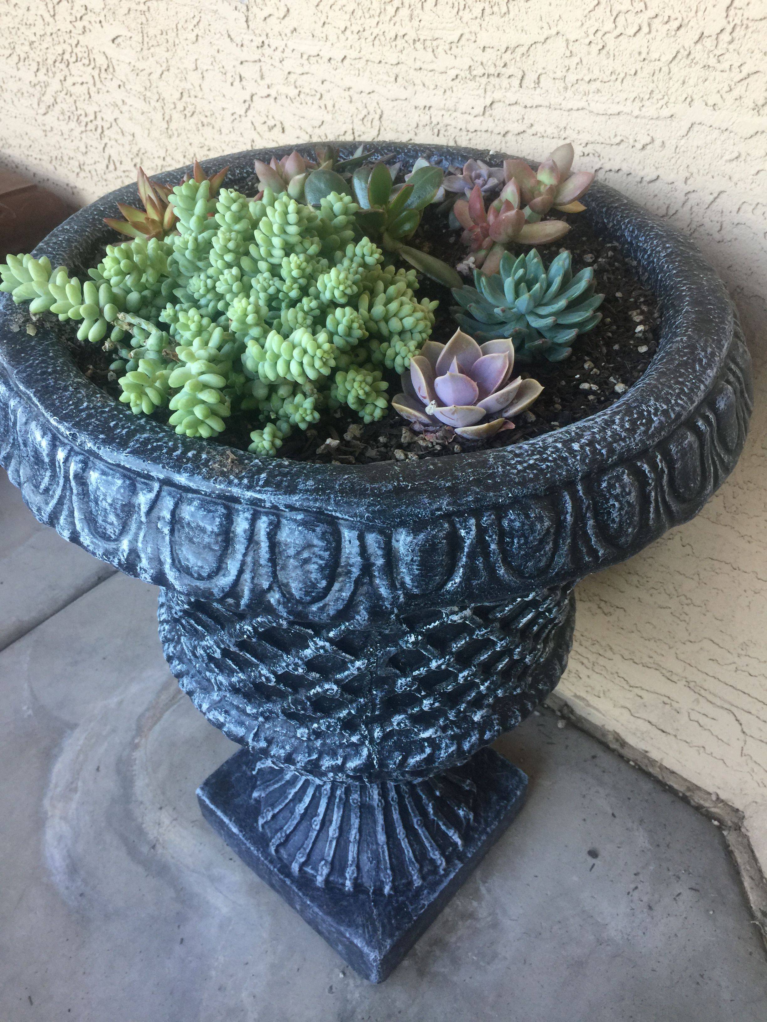 Cement Block Planter