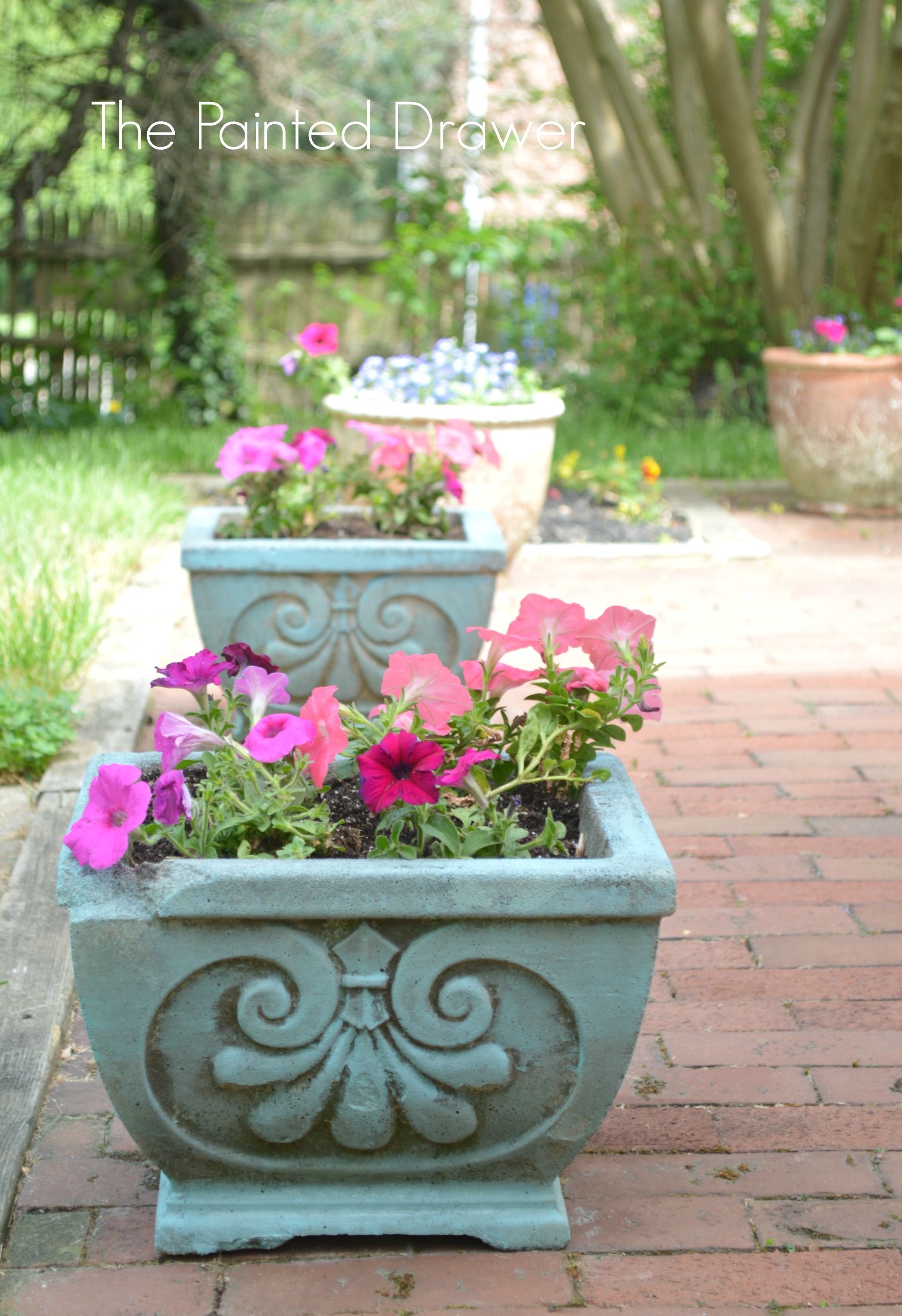 Modern Concrete Planters