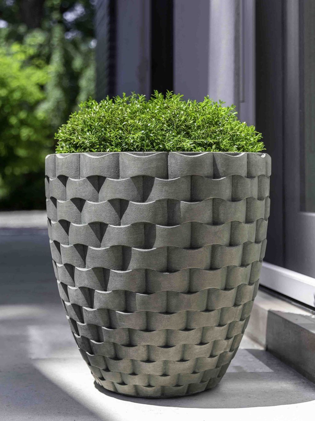Front Entry Landscaping