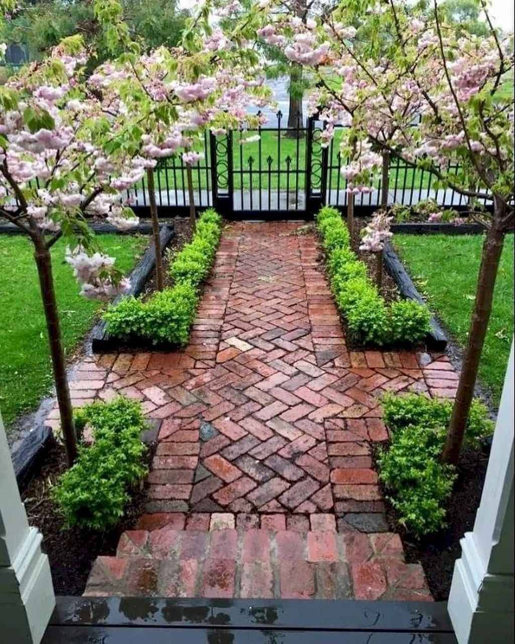 Cottage Garden Plants