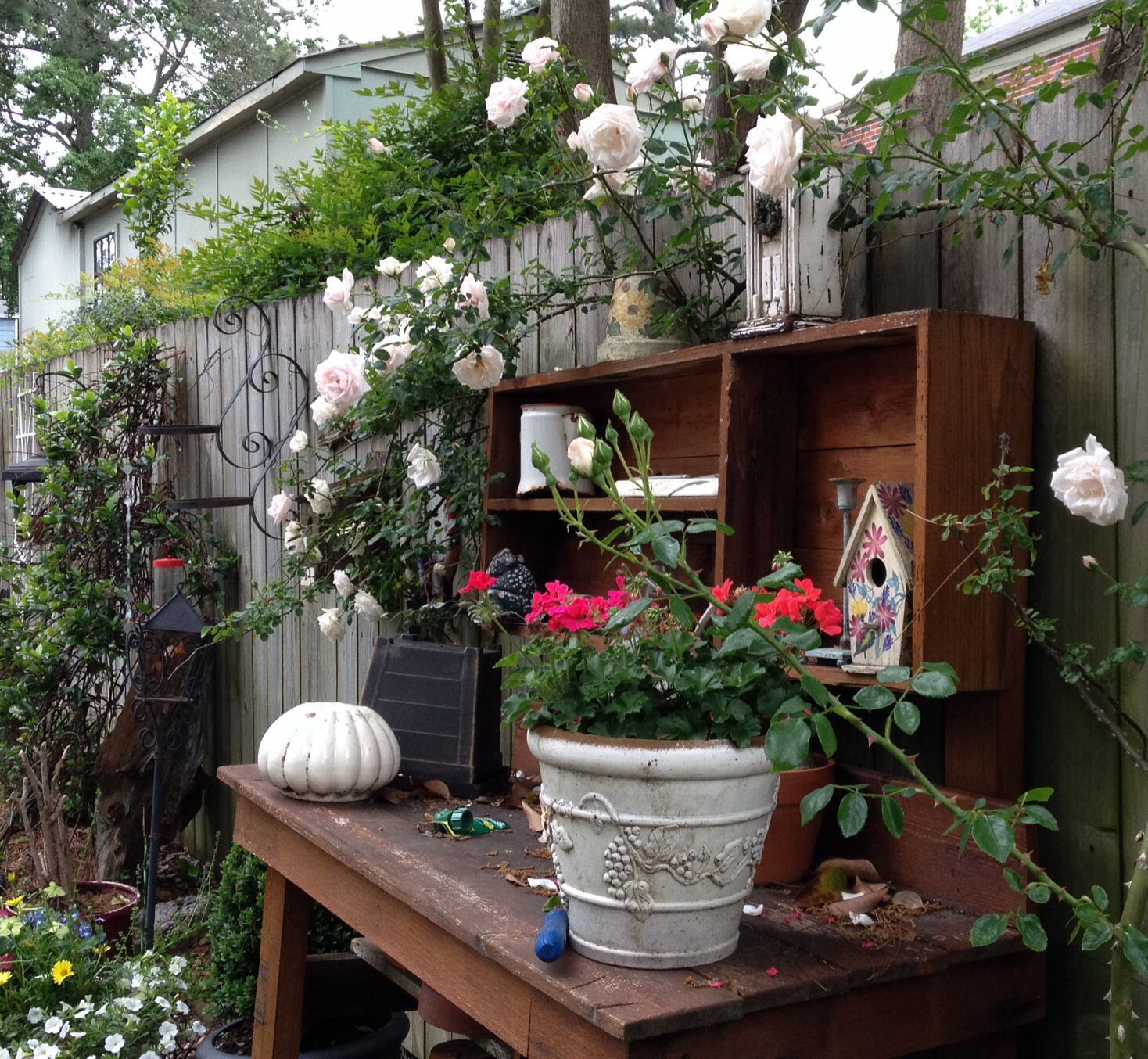 Narrow Side Passage Garden Ideas Elcinekatrino