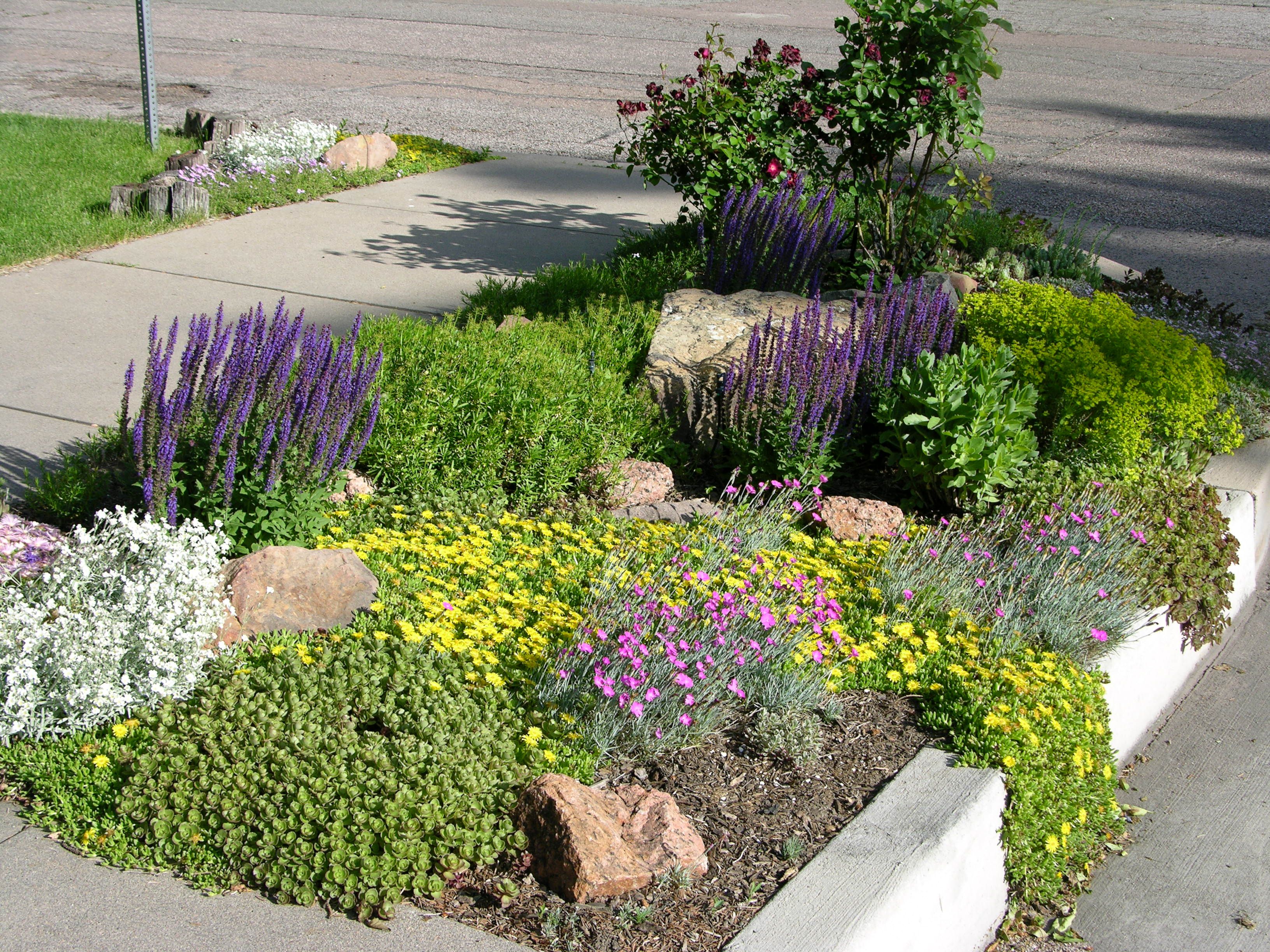 New The Best Garden Ideas