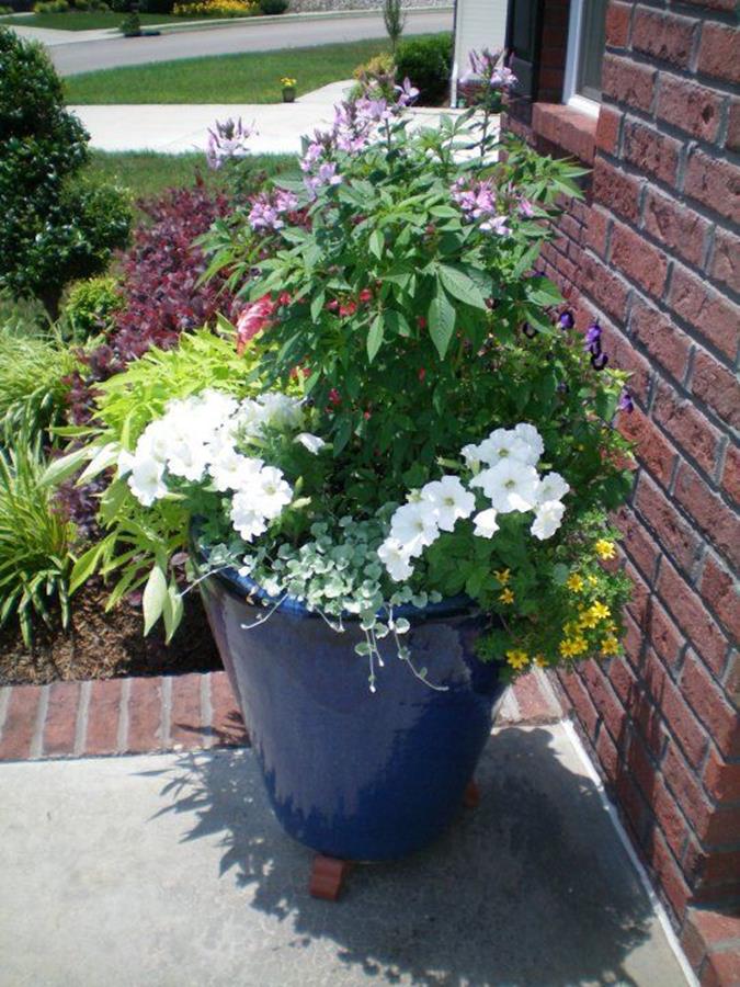 Awesome Spring Gardening Ideas Flower