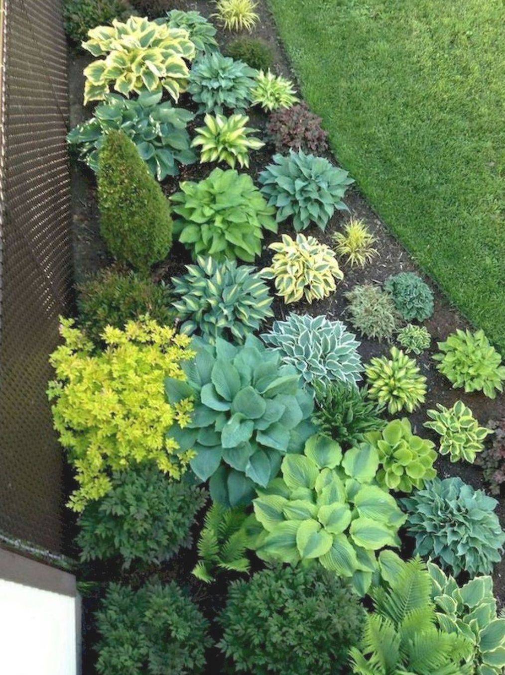Shade Garden Design Ideas