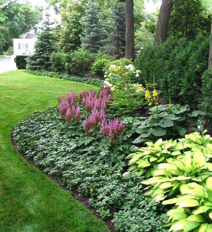 Low Maintenance Perennial Shade Garden Garden Design Ideas
