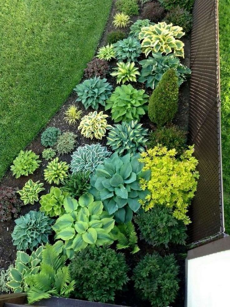 25 Low Maintenance Shade Garden Ideas To Consider | SharonSable