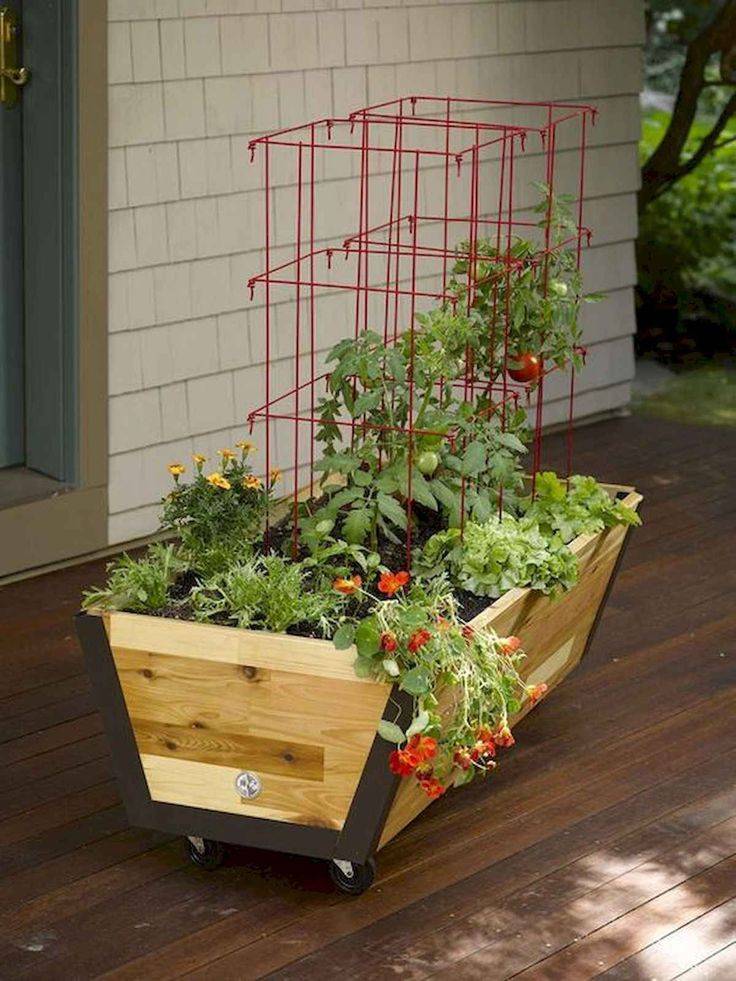 Easy Container Vegetable Garden Ideas