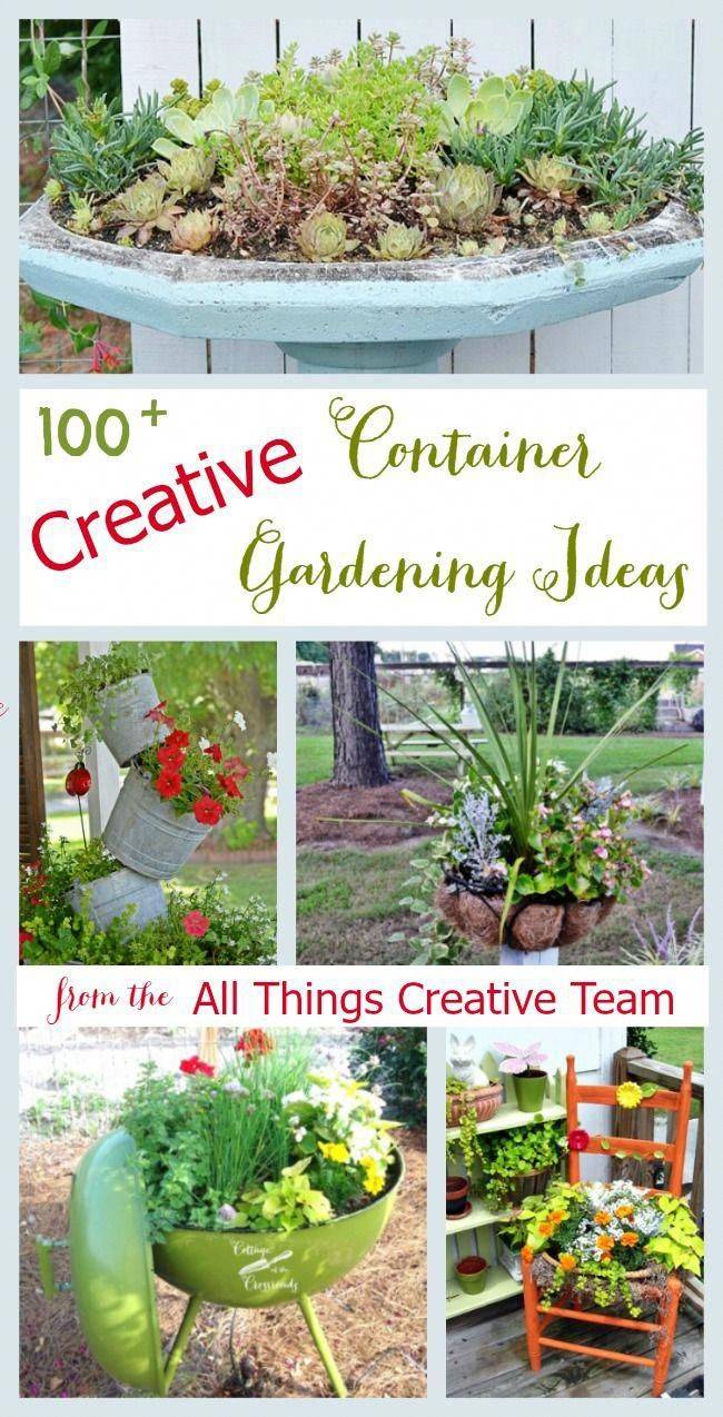 Easy Container Vegetable Garden Ideas
