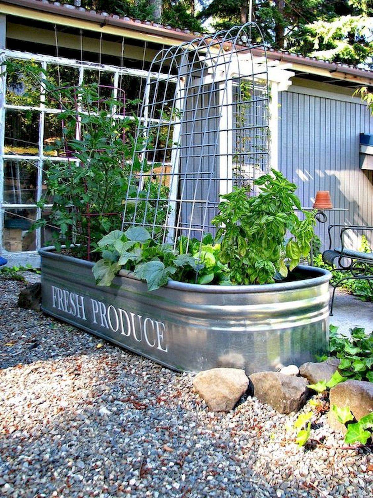Creative Container Vegetables Garden