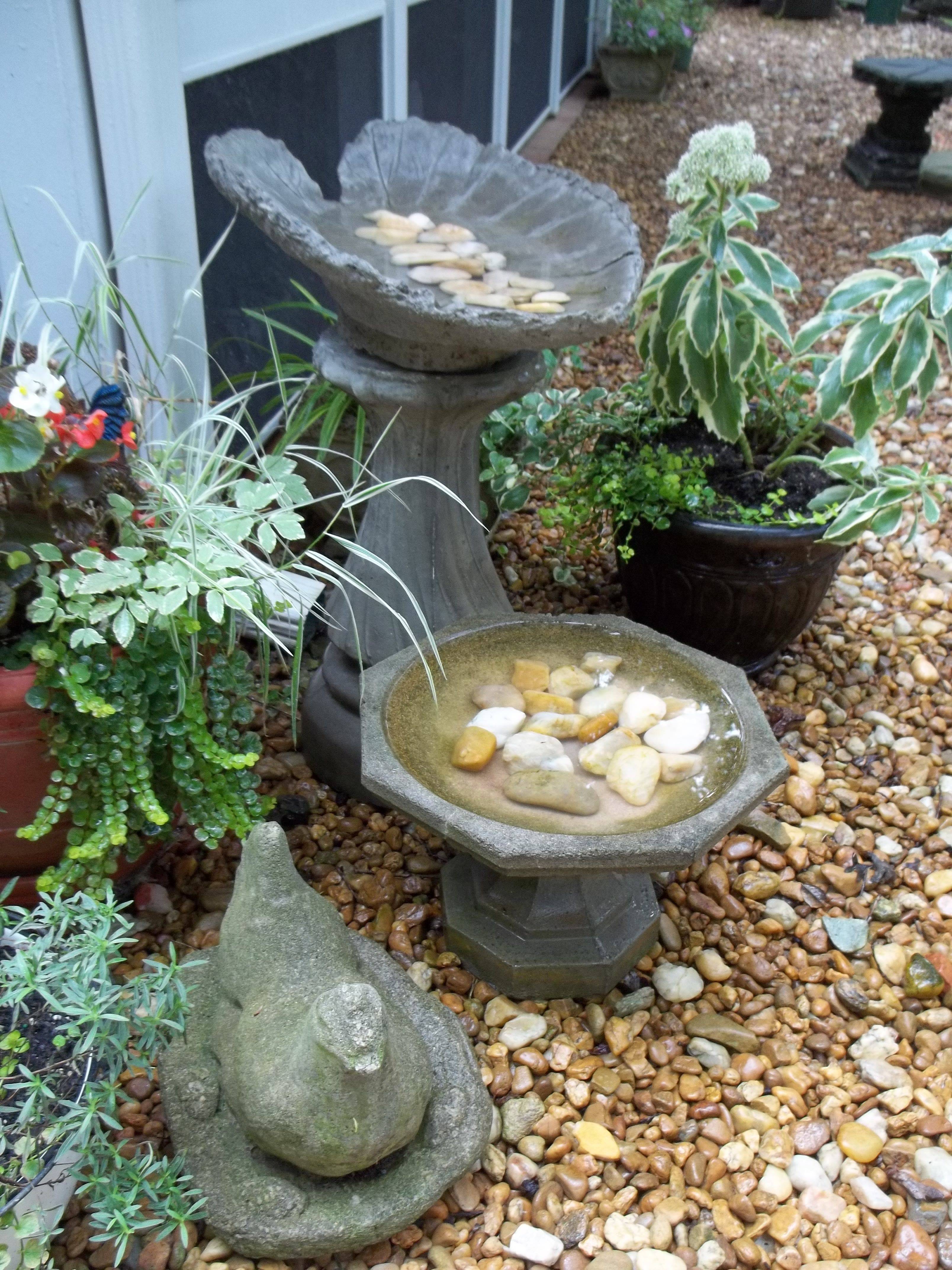 Bird Bath Ideas Golly Gee Gardening