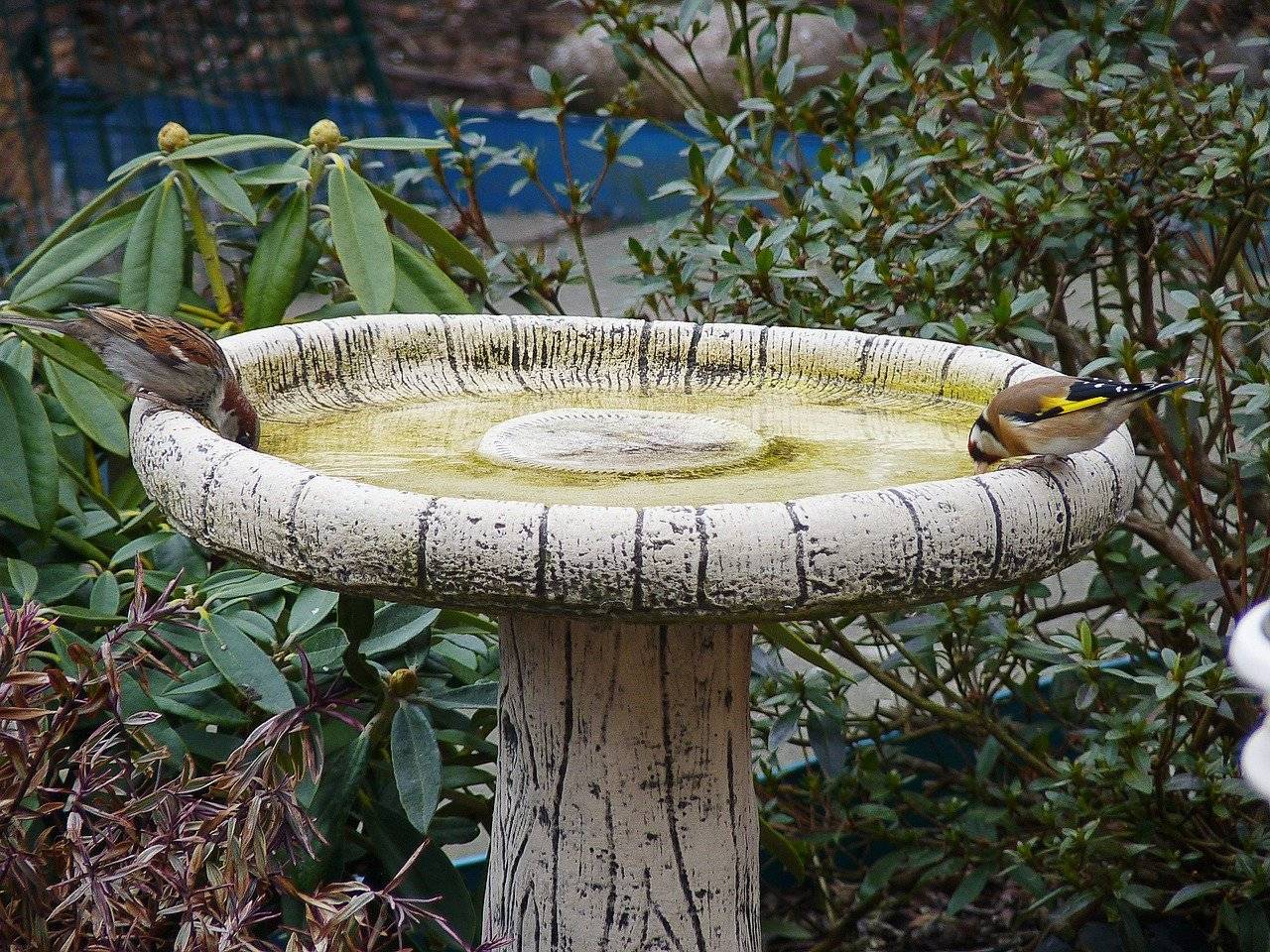 Stunning Bird Bath Garden Ideas