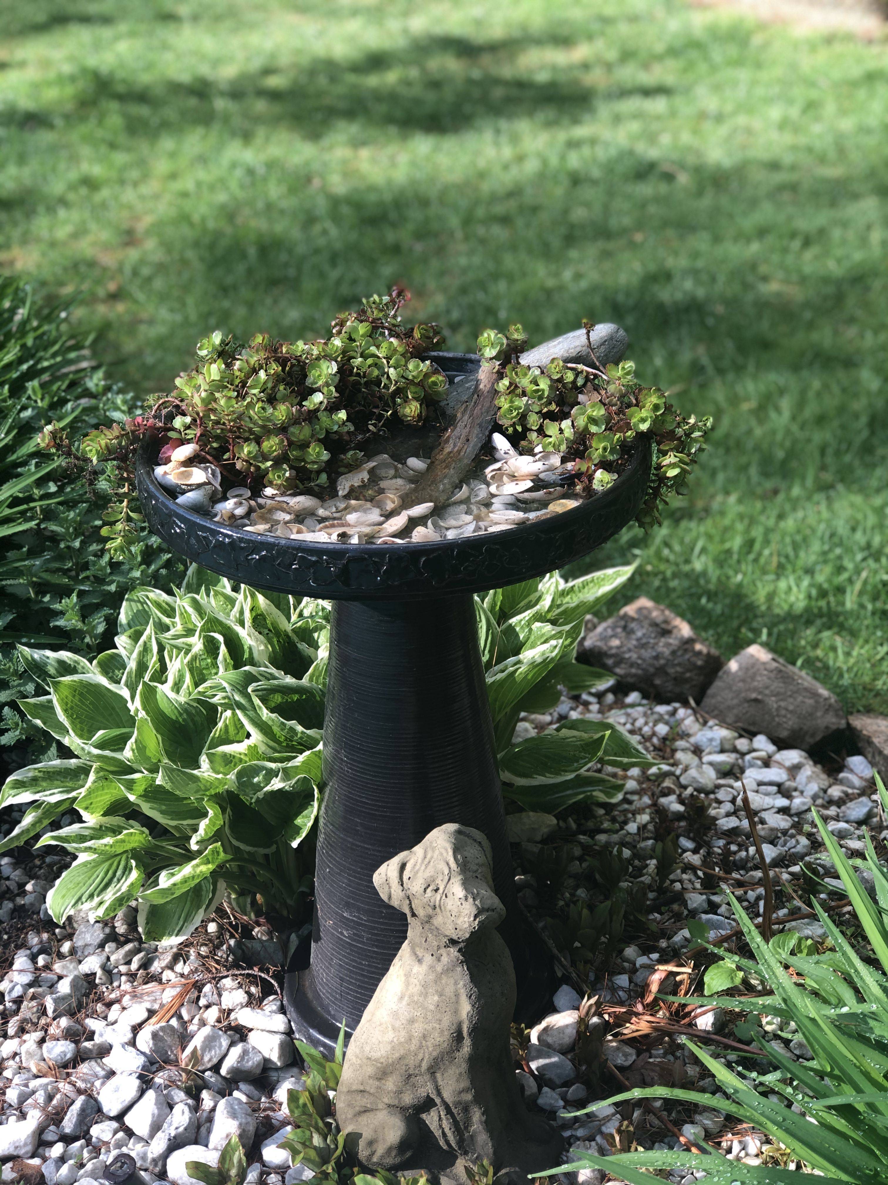 Diy Bird Bath Projects