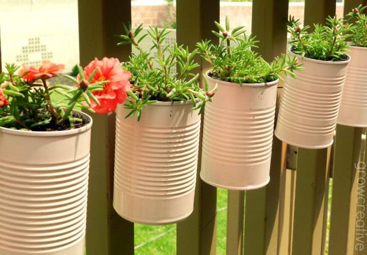 Tin Can Flowers