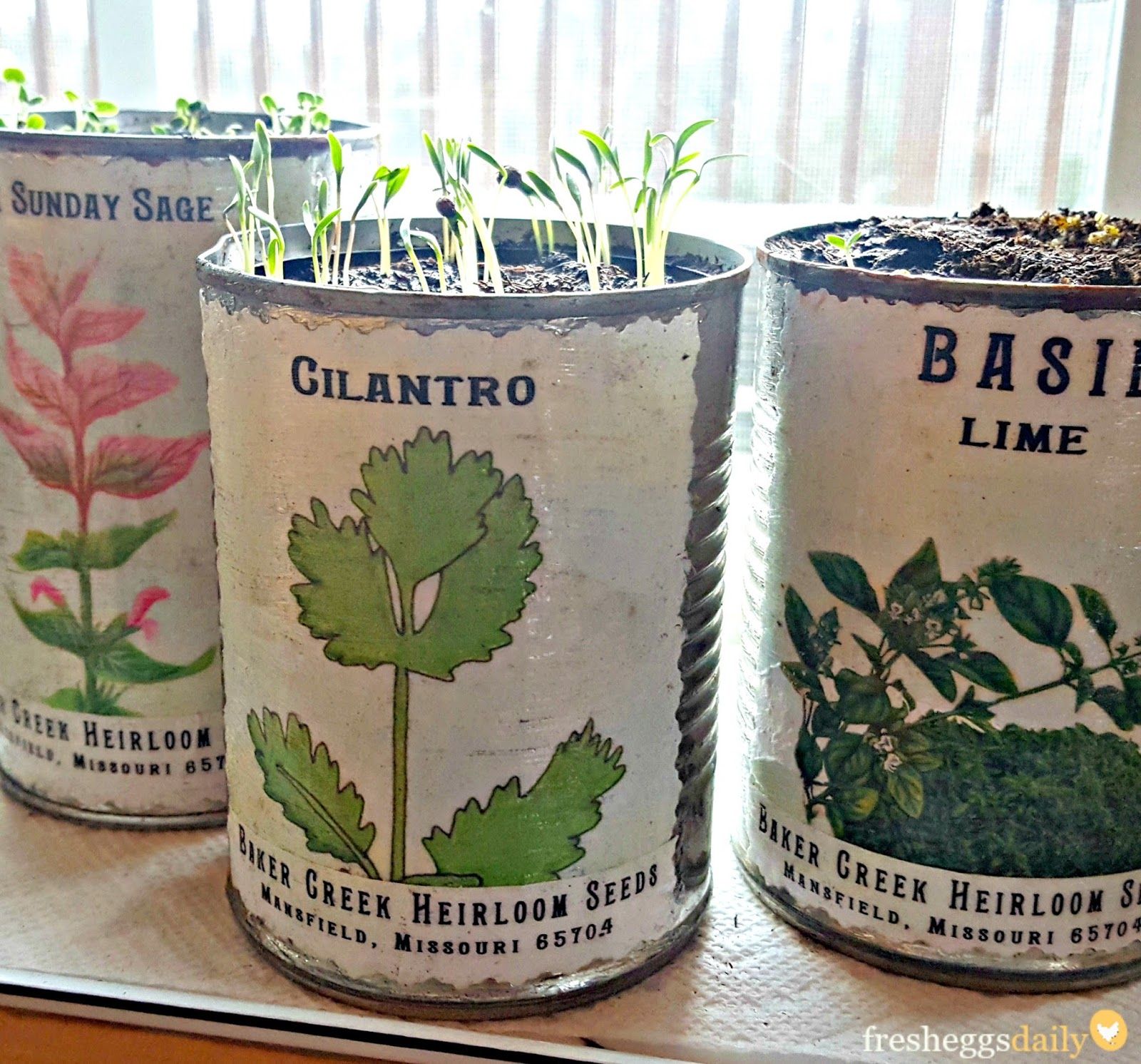 Diy Tin Can Projects