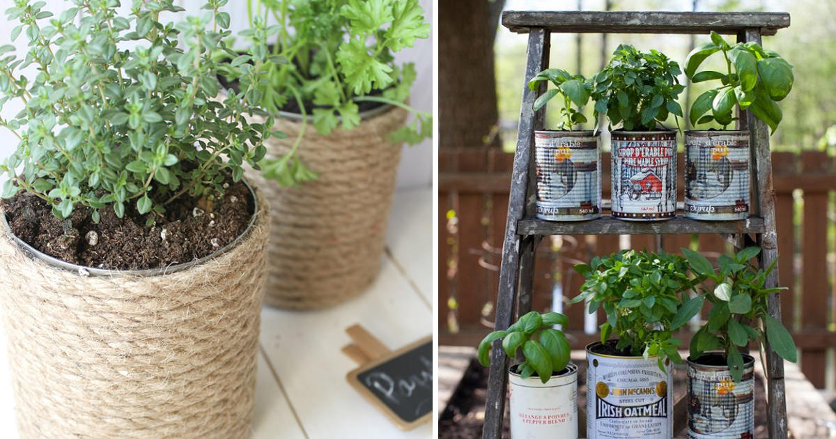 Diy Tin Can Herb Garden Ideas