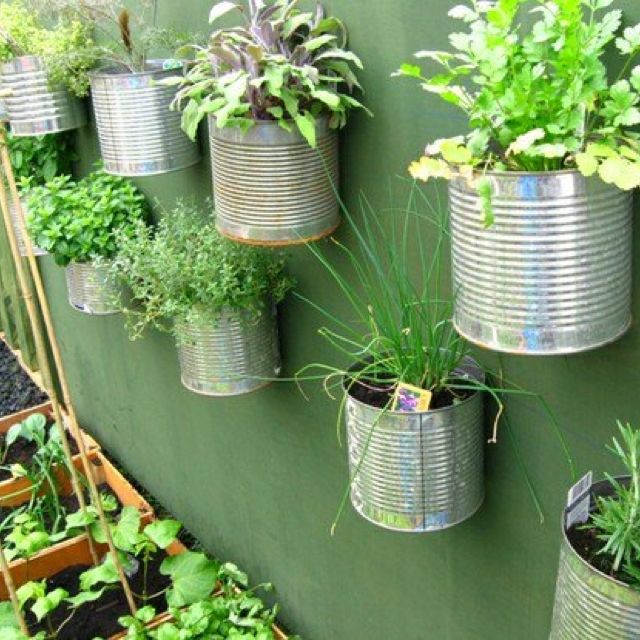 Diy Tin Can Herb Garden Ideas