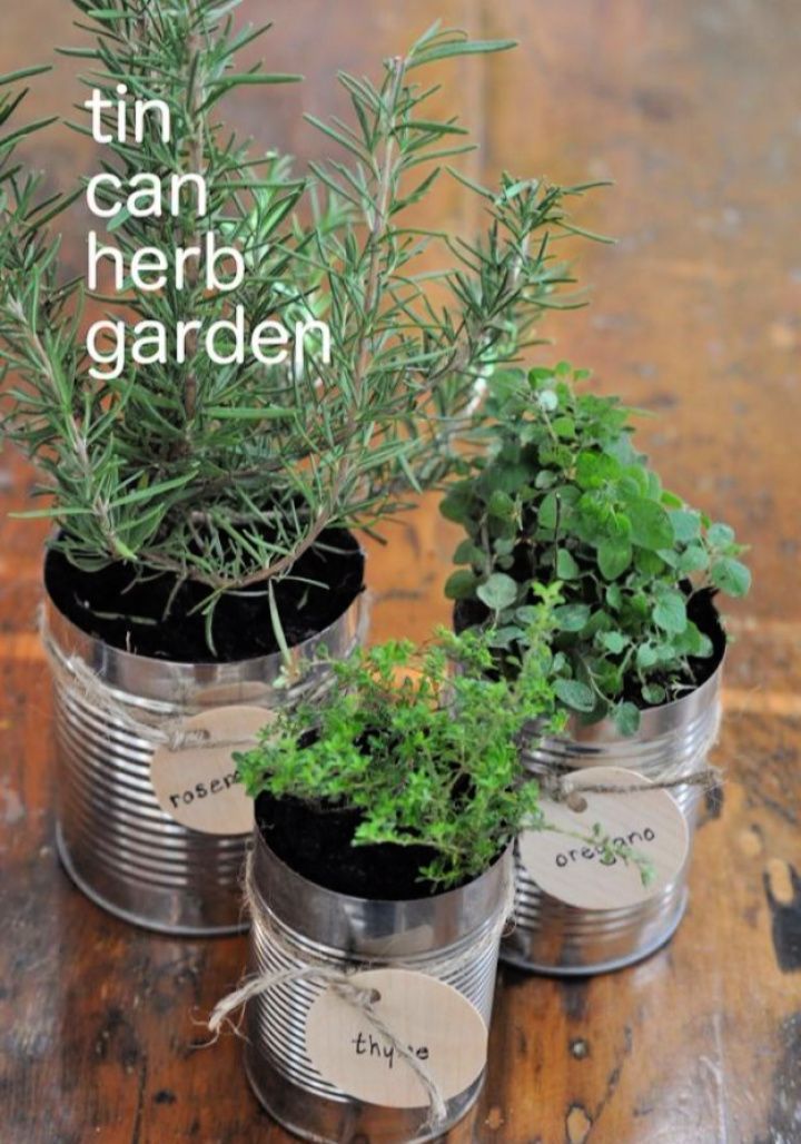 Diy Tin Can Herb Garden Ideas