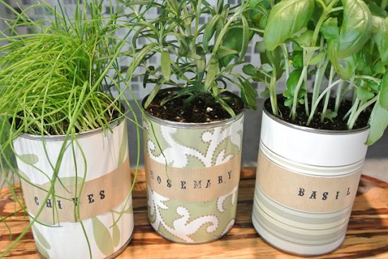 A Tin Can Diy Herb Garden