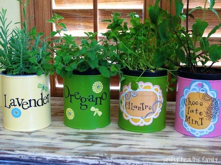 Tin Can Herb Garden