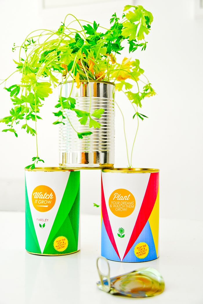 Container Herb Garden