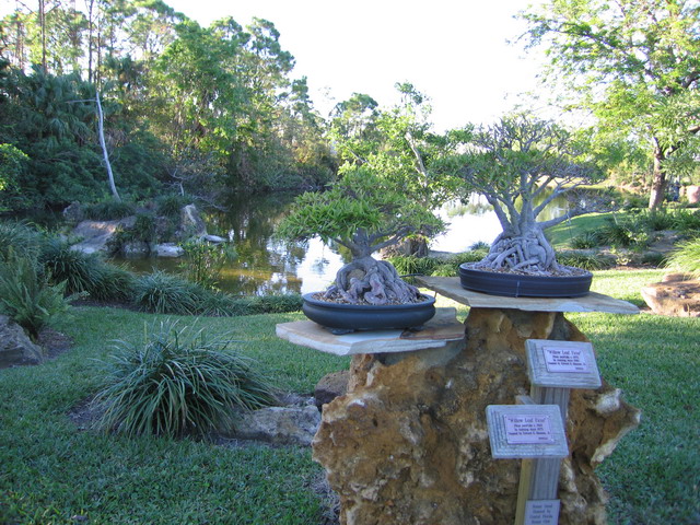 Courtyard Boca Raton Morikami Museum