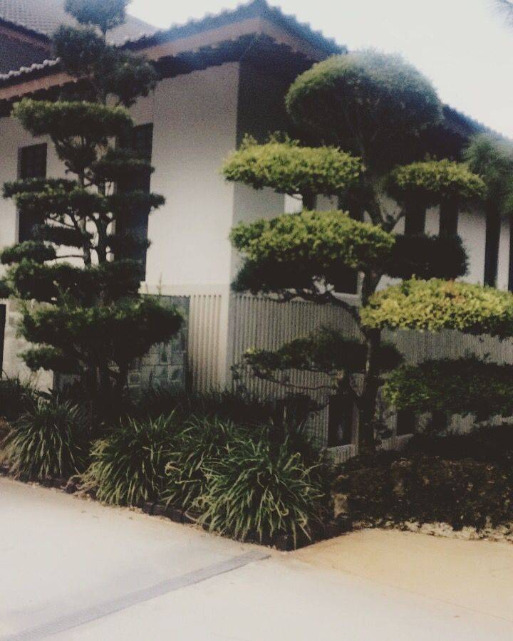 Japanese Garden Boca Morikami Museum