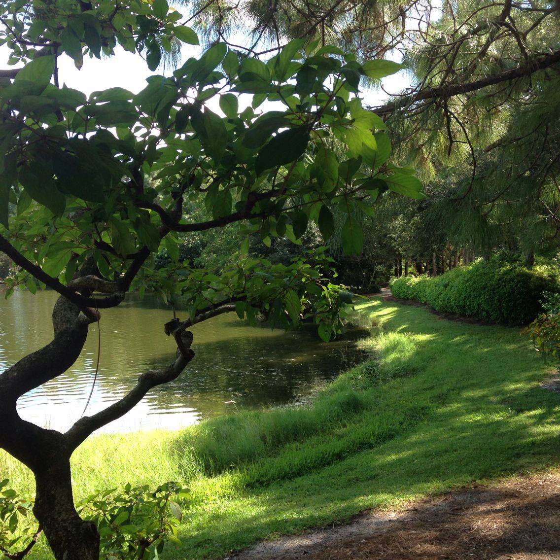 Morikami Japanese Gardens