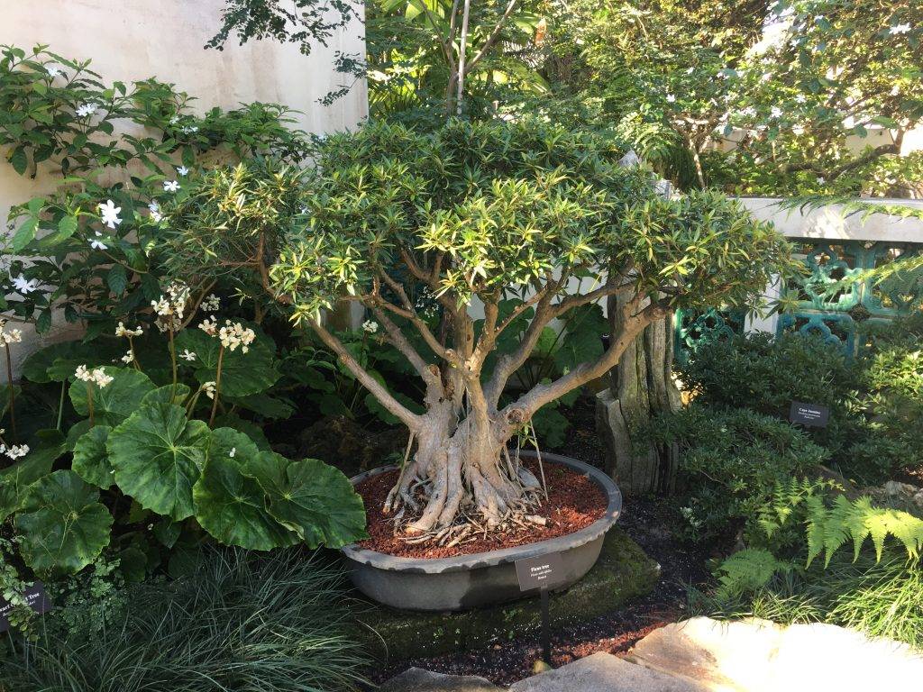 About Florida Agriculture