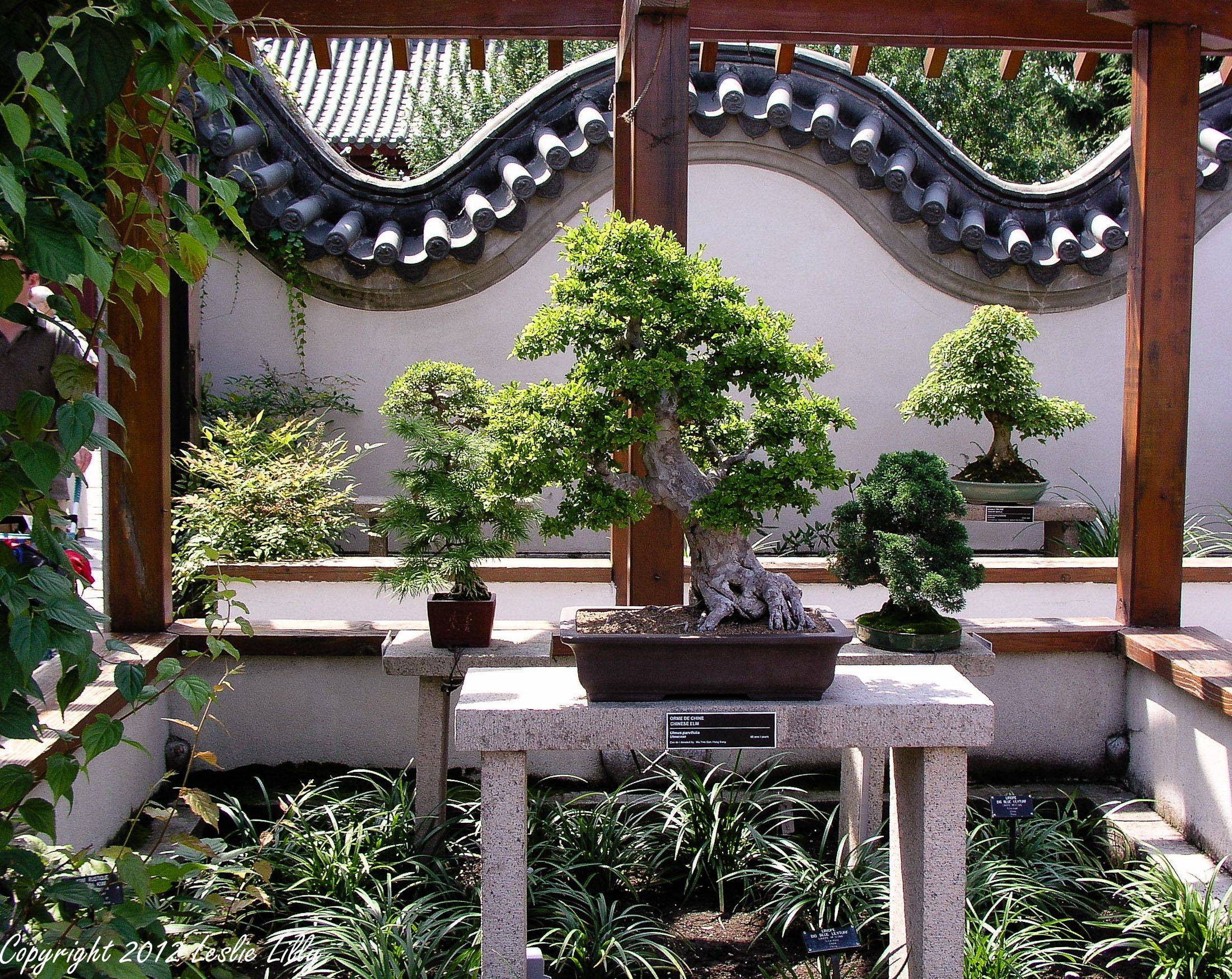 Japanese Style Gardens Wedding Venue