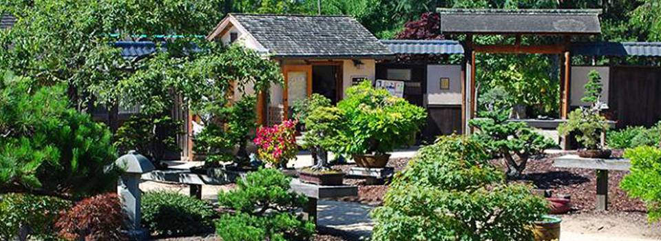 Landscape Design Ideas