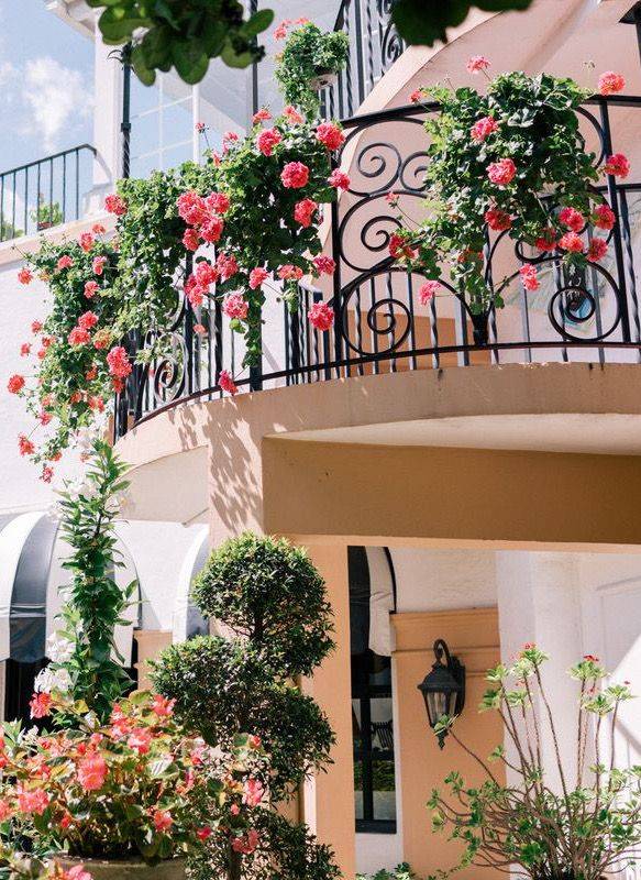 Tx Photo Gallery Landscaping Network