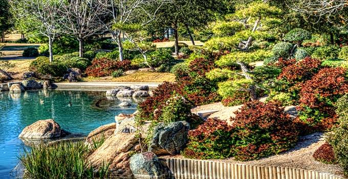 Japanese Friendship Garden