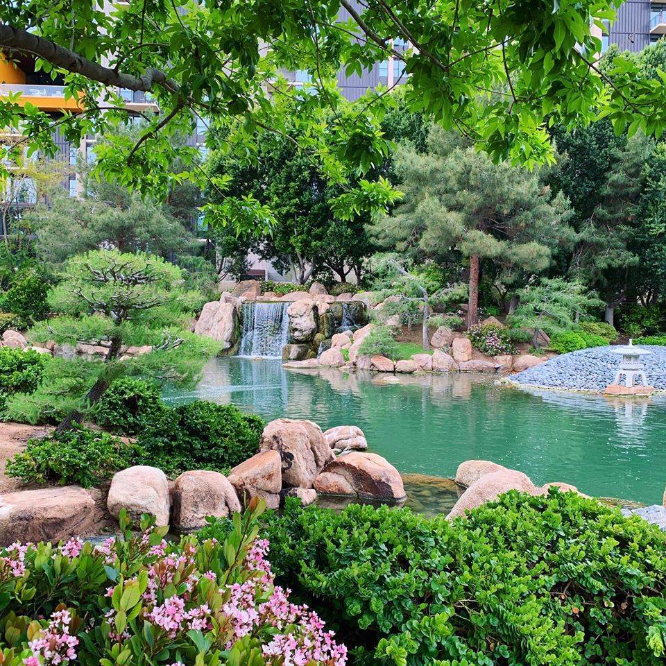 Phoenixs Japanese Friendship Garden