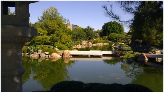 Zen Rock Garden Phoenix Az Garden Design Ideas