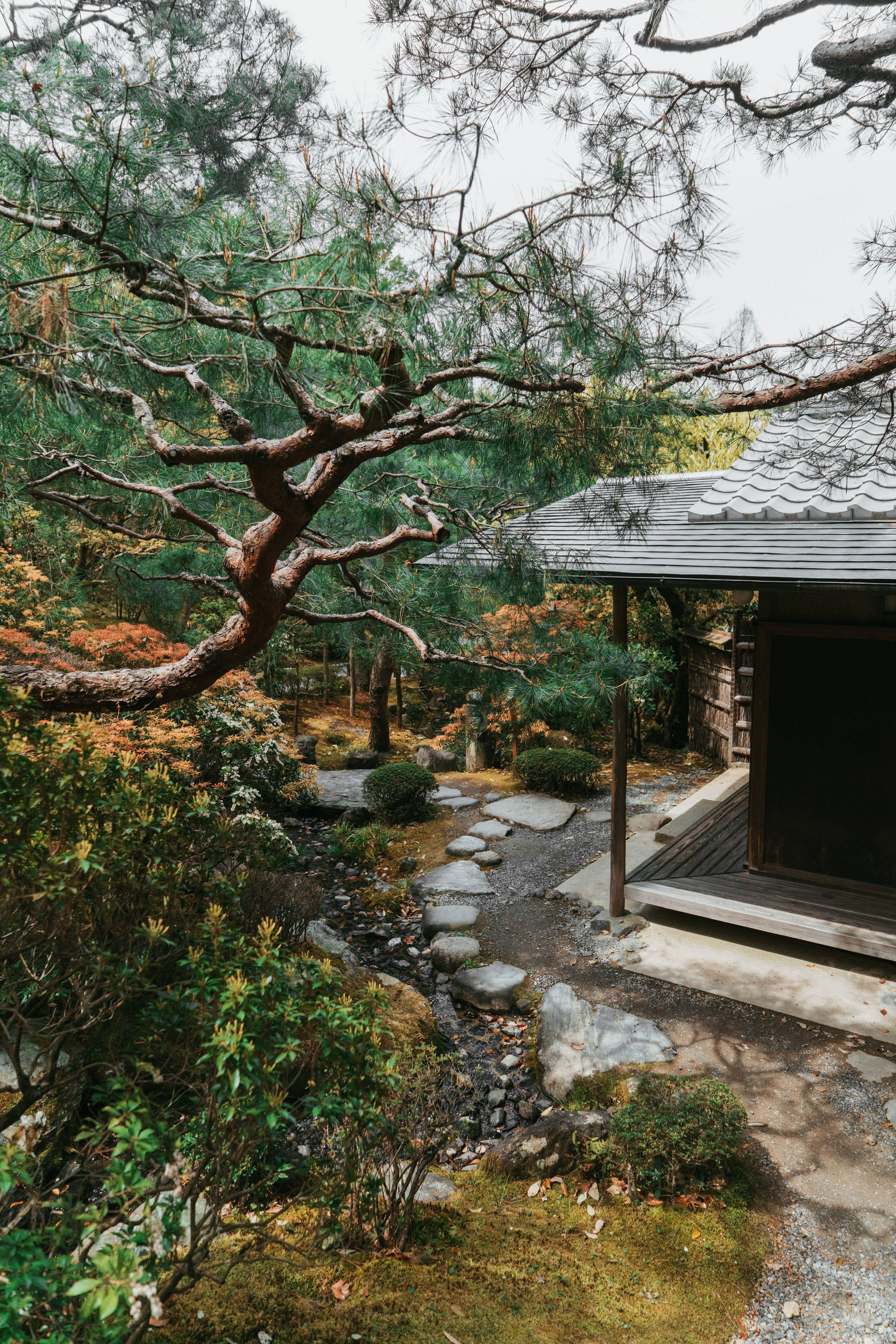 Small Japanese Garden