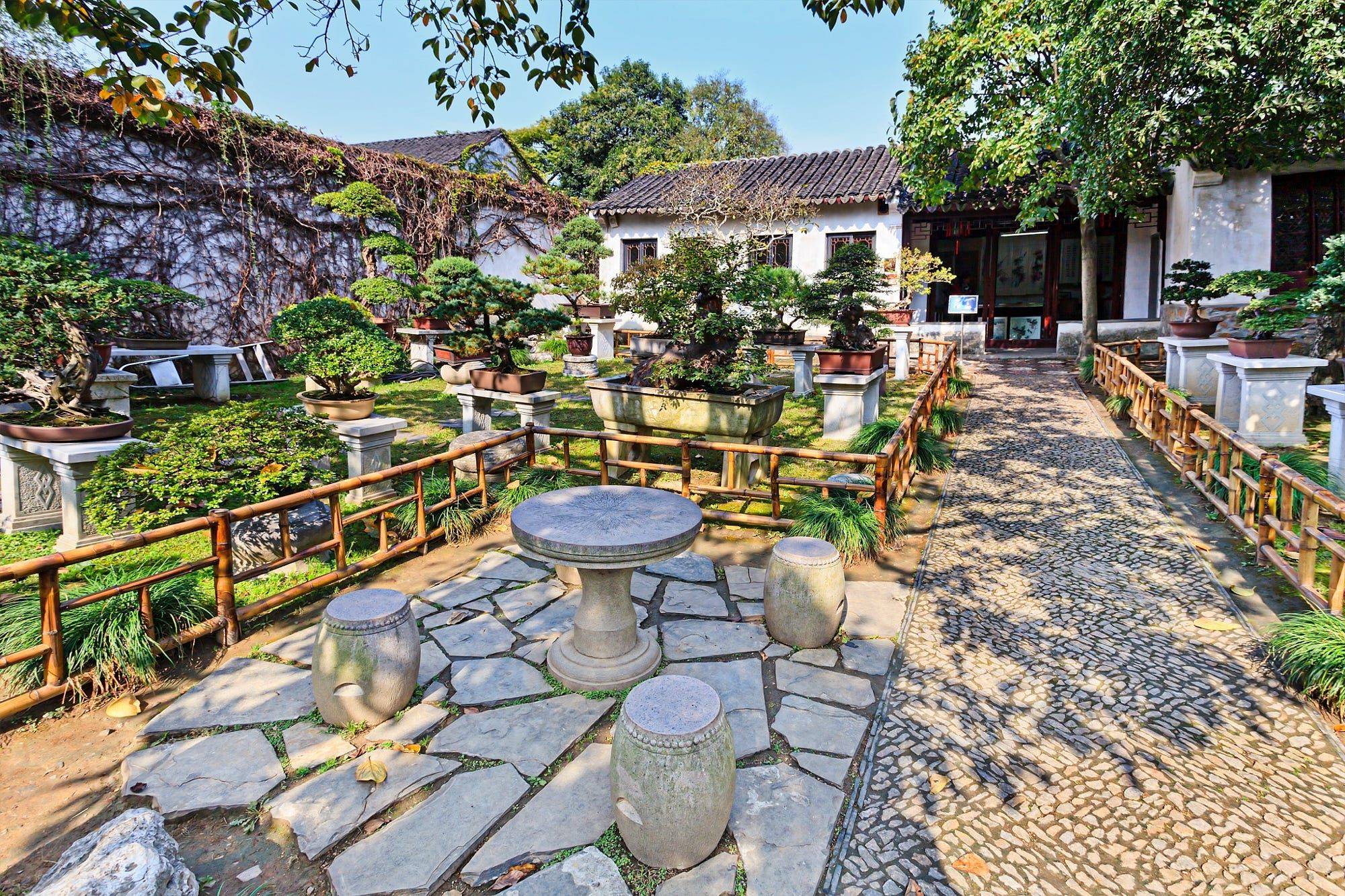 Water Garden Design Ideas