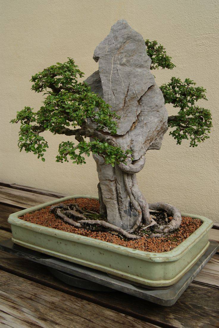 Outdoor Decor Trendehouse