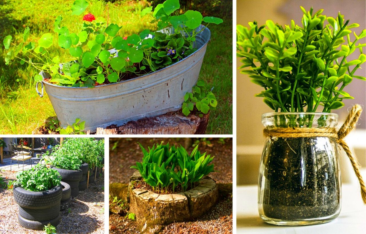 A Tiered Container Garden Southern Patio