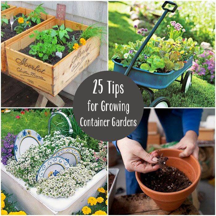 Balcony Container Gardening Vegetables Ideas