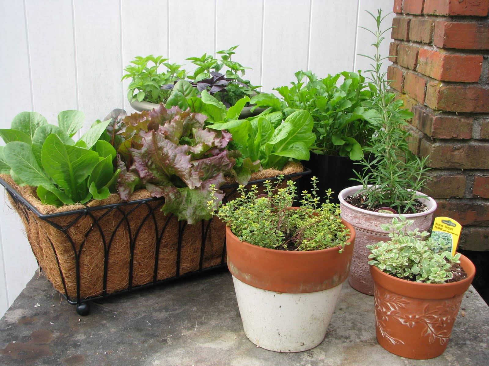Stunning Container Vegetable Garden Design Ideas