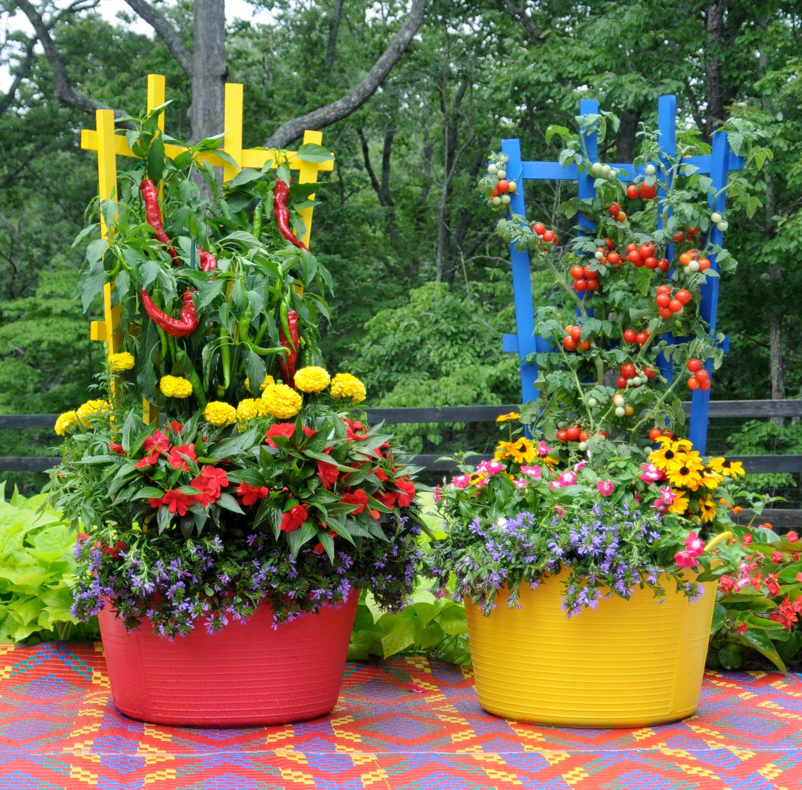 Beautiful Summer Container Garden Flowers Ideas Container Herb