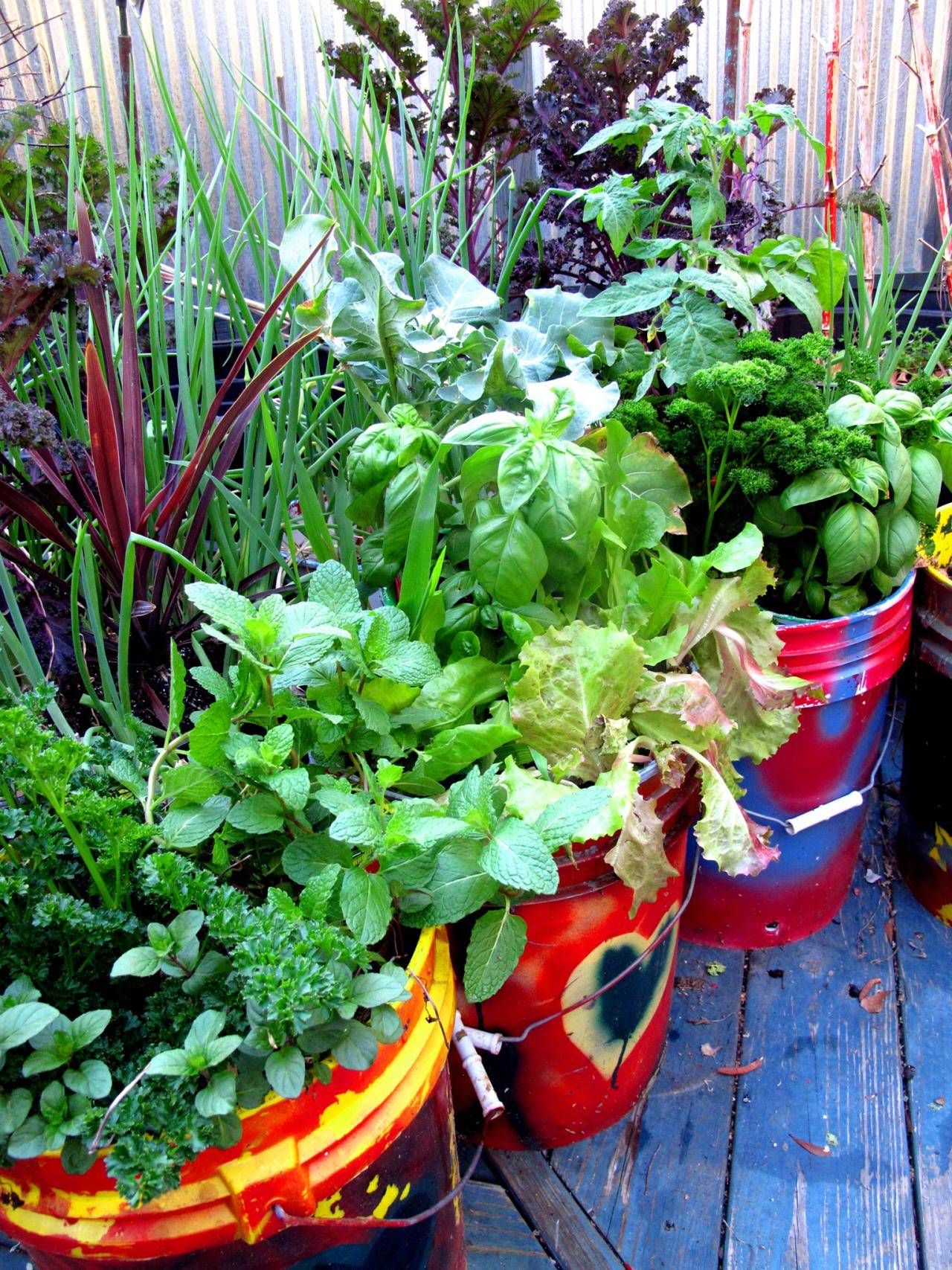 Herb Garden Design