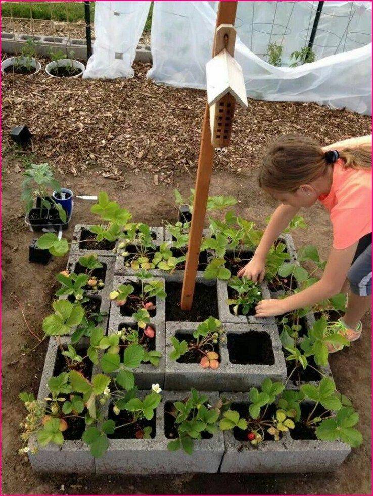 Easy Container Gardening