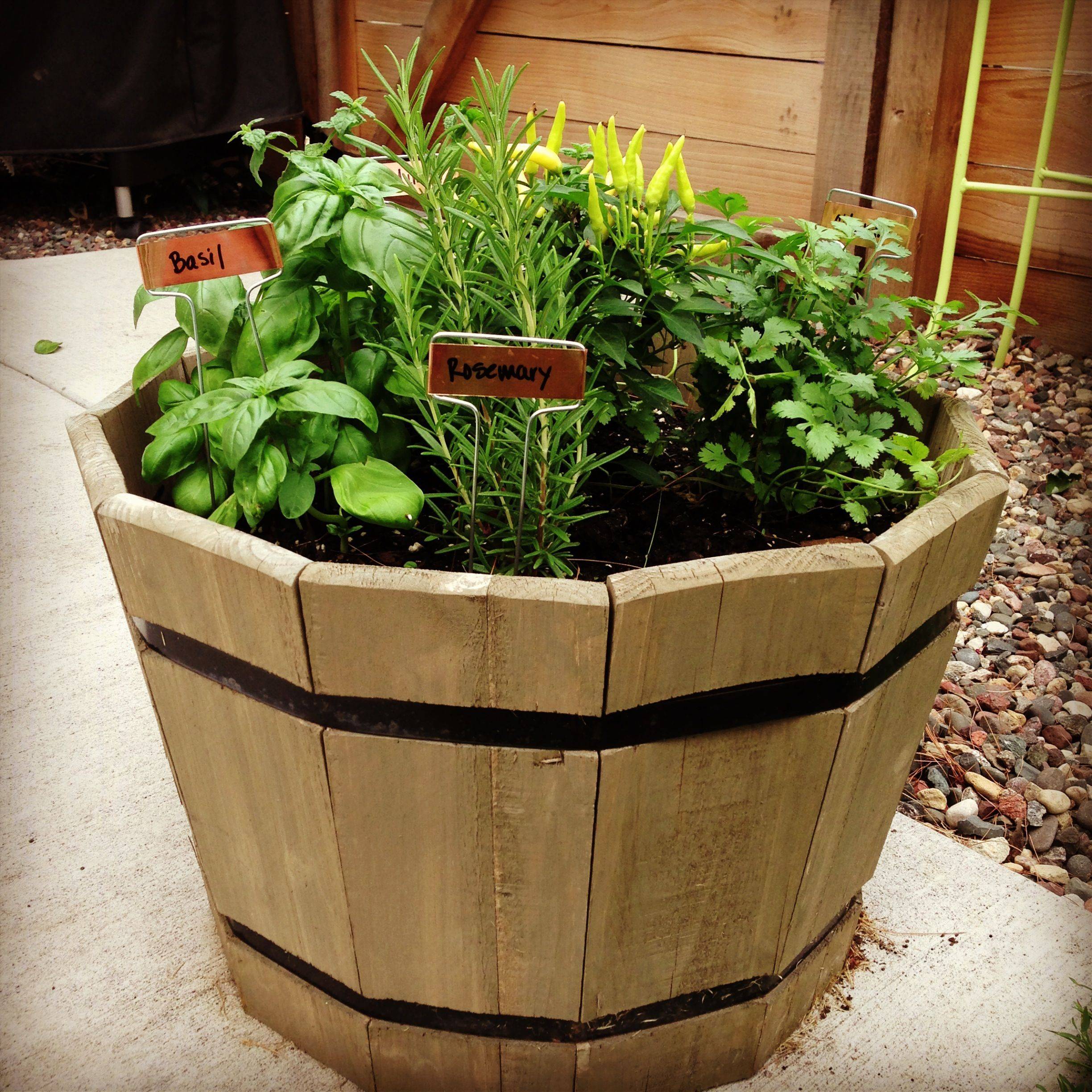 Your Container Garden