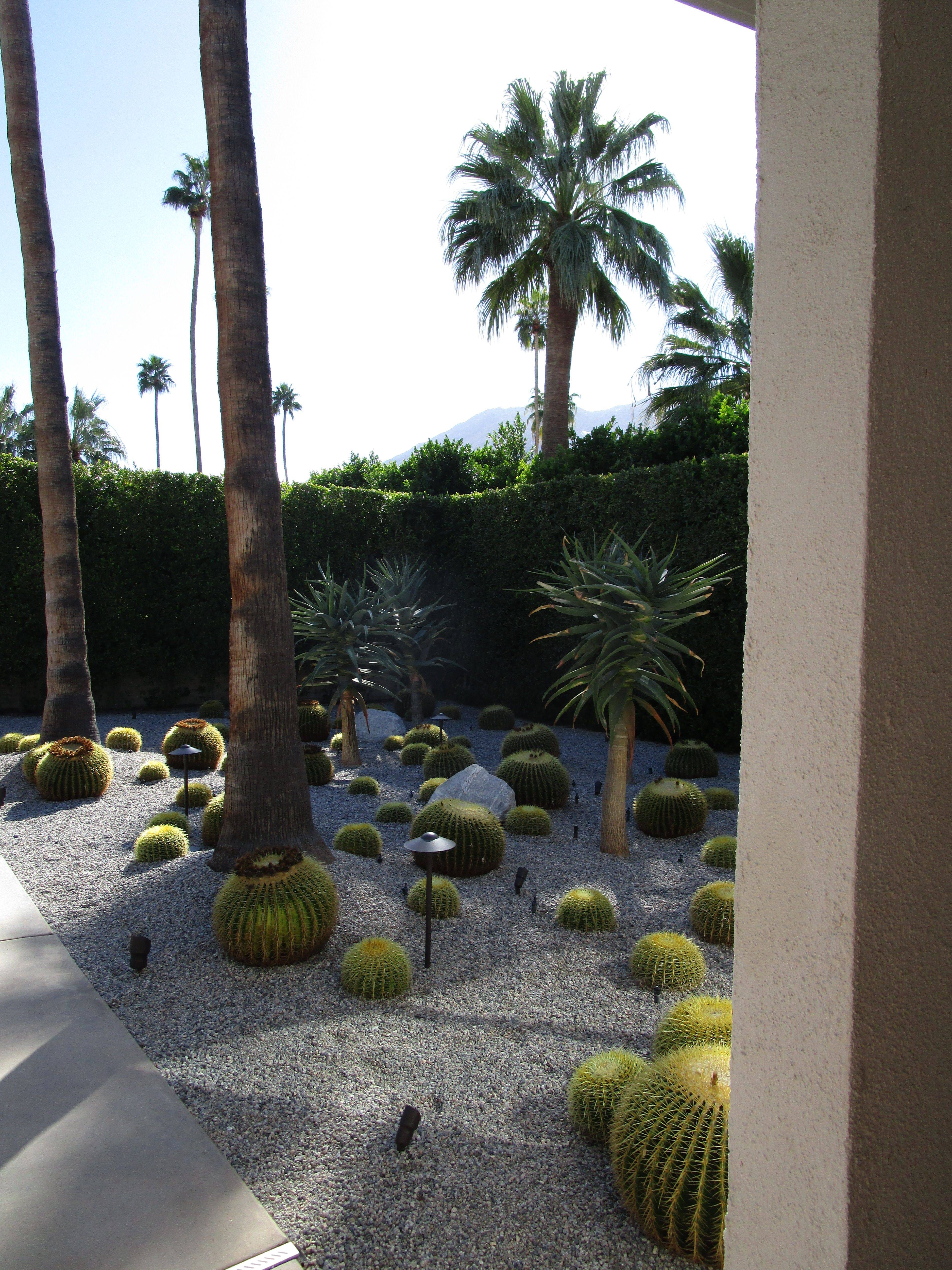 Perfect Cactus Garden Design Ideas