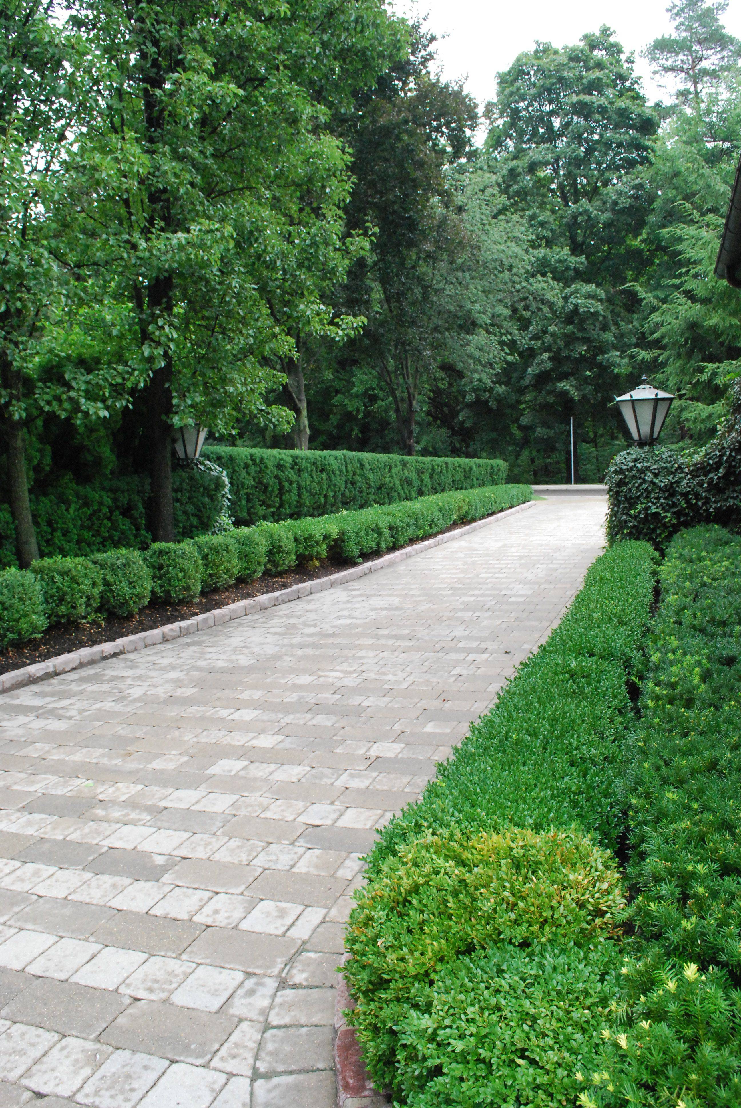 Walkway Landscaping House