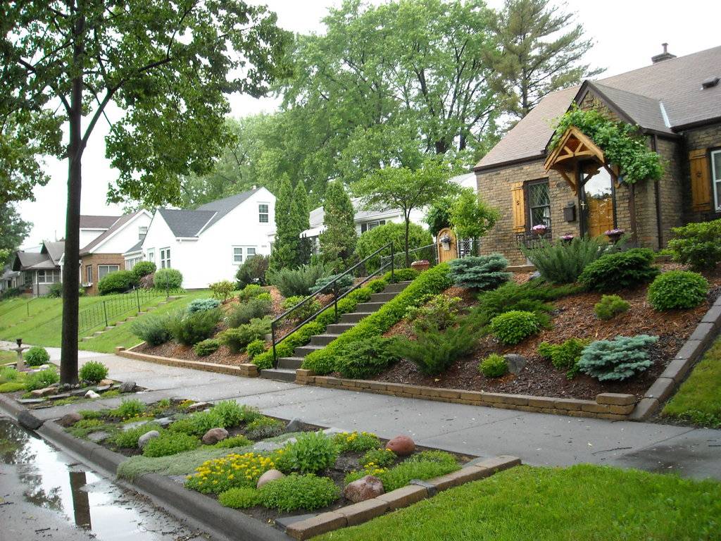 Stunning Low Maintenance Front Yard