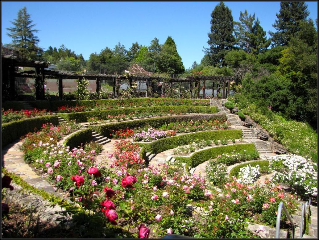 Great Bungalow Garden Ideas