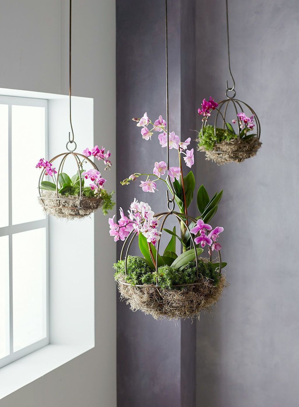 Most Popular Diy Indoor Garden Ideas