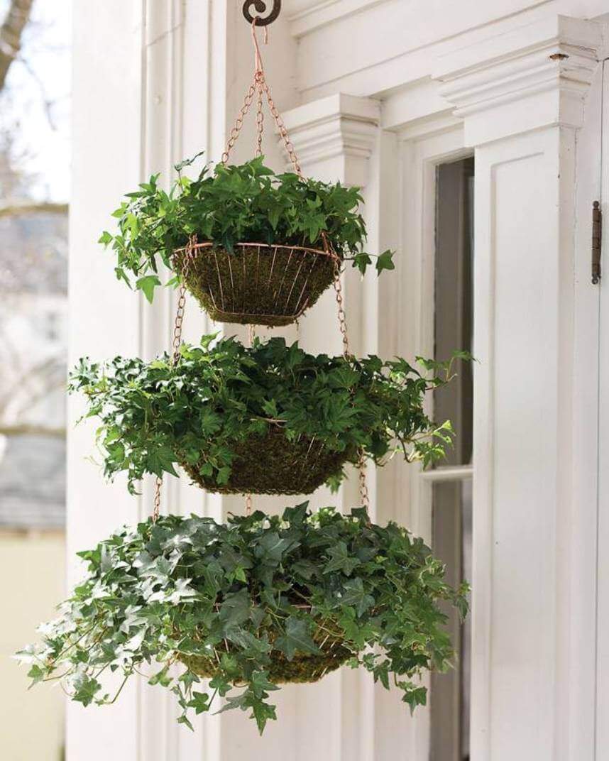 Inspiring Awesome Windows Hanging Plants Ideas
